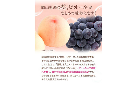 【2026年発送先行予約】桃・ピオーネ詰め合わせ 約1kg クール便 冷蔵便 桃 もも 葡萄 ブドウ ぶどう ピオーネ フルーツ セット 先行予約 晴れの国おかやま館 《2026年8月下旬~9月中旬頃出荷》 フルーツ 果物 果実 岡山県 笠岡市