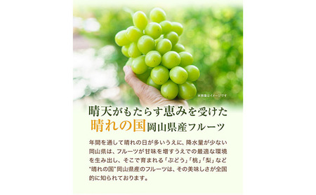 【2026年先行予約】桃 シャインマスカット ピオーネ 詰め合わせ 約1.8kg クール便 冷蔵便 桃 もも 葡萄 ブドウ ぶどう マスカット フルーツ セット 先行予約 晴れの国おかやま館 《2026年8月下旬~9月中旬頃出荷》 フルーツ 果物 果実 岡山県 笠岡市