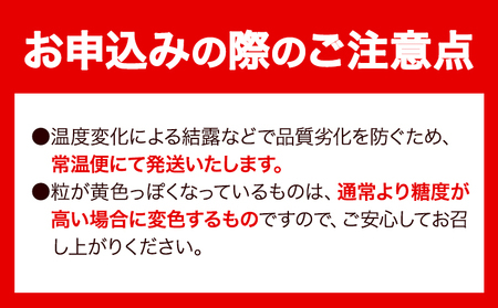 【先行予約】 たたらみねらるシャインマスカット 2房1kg以上 岡山県産 笠岡市《2026年8月下旬-10月下旬頃出荷予定》