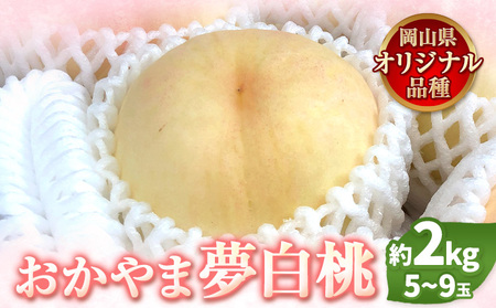 【先行予約】 もも 白桃 岡山 おかやま夢白桃 約2kg 5~9玉 小寺農園《7月中旬-8月上旬頃出荷》岡山県産 岡山の桃 ブランド桃 甘い なめらか 旬 果物 フルーツ 先行予約