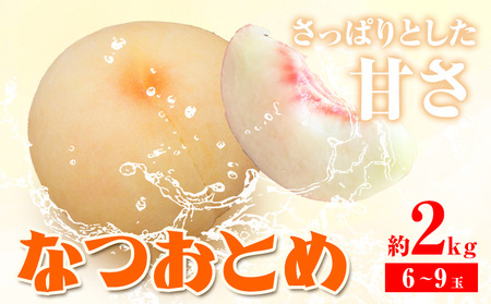 【先行予約】もも 桃 なつおとめ 2kg 6～9玉 小寺農園《7月中旬-8月上旬頃出荷》 岡山県 笠岡市 岡山県産 モモ 果物 フルーツ 先行予約