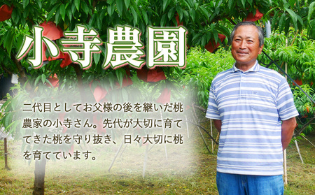 【先行予約】もも 桃 紅清水・白鳳 どちらかお届け 2kg 6～9玉 小寺農園《7月上旬-7月下旬頃出荷》 岡山県 笠岡市 岡山県産 紅清水 白鳳 モモ 果物 フルーツ 先行予約