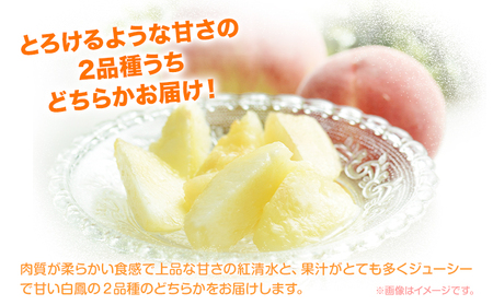 【先行予約】もも 桃 紅清水・白鳳 どちらかお届け 2kg 6～9玉 小寺農園《7月上旬-7月下旬頃出荷》 岡山県 笠岡市 岡山県産 紅清水 白鳳 モモ 果物 フルーツ 先行予約