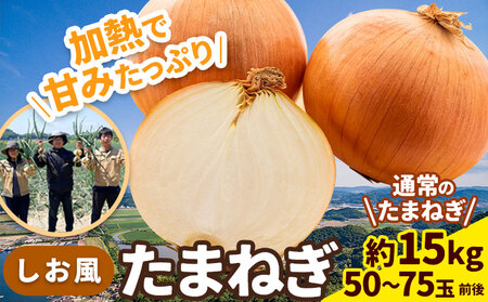 【2025年先行予約分】しお風たまねぎ 約15kg《2025年6月上旬-6月末頃出荷(土日祝除く)》 岡山県 笠岡市