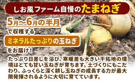 【2025年先行予約分】しお風たまねぎ 約15kg《2025年6月上旬-6月末頃出荷(土日祝除く)》 岡山県 笠岡市