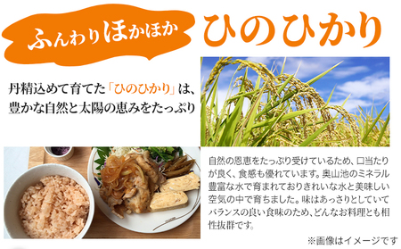 【令和6年産 予約受付】玄米 岡山県産 ひのひかり 笠岡産 10kg《10月下旬-9月下旬頃出荷》農事組合法人奥山営農組合 太陽の恵み｜玄米 玄米 玄米玄米 玄米 玄米 玄米 玄米 玄米 玄米 玄米 玄米 玄米 玄米 玄米 玄米 玄米 玄米 玄米 玄米 玄米 玄米 玄米 玄米 玄米 玄米 玄米 玄米 玄米 玄米 玄米 玄米 玄米 玄米 玄米 玄米 玄米 玄米 玄米 玄米 玄米 玄米 玄米 玄米 玄米 玄米 玄米 玄米 玄米 玄米 玄米 玄米 玄米 玄米 玄米 玄米 玄米 玄米 玄米 玄米 玄米 玄米 玄米 玄米 玄米 玄米 玄米 玄米 玄米 玄米 玄米 玄米 玄米 玄米 玄米 玄米 玄米 玄米 玄米 玄米 玄米 玄米 玄米 玄米 玄米 玄米 玄米 玄米 玄米 玄米 玄米 玄米 玄米 玄米 玄米 玄米 玄米 玄米 玄米 玄米 玄米 玄米 玄米 玄米 玄米 玄米 玄米 玄米 玄米 玄米 玄米 玄米 玄米 玄米 玄米 玄米 玄米 玄米 玄米 玄米 玄米 玄米 玄米 玄米 玄米 玄米 玄米 玄米 玄米 玄米 玄米 玄米 玄米 玄米 玄米 玄米 玄米 玄米 玄米 玄米 玄米 玄米 玄米 玄米 玄米 玄米 玄米 玄米 玄米 玄米 玄米 玄米 玄米 玄米 玄米 玄米 玄米 玄米 玄米 玄米 玄米 玄米 玄米 玄米 玄米 玄米 玄米 玄米 玄米 玄米 玄米 玄米 玄米 玄米 玄米 玄米 玄米 玄米 玄米 玄米 玄米 玄米 玄米 玄米 玄米 玄米 玄米 玄米 玄米 玄米 玄米 玄米 玄米 玄米 玄米 玄米 玄米 玄米 玄米 玄米 玄米 玄米 玄米 玄米 玄米 玄米 玄米 玄米 玄米 玄米 玄米 玄米 玄米 玄米 玄米 玄米 玄米 玄米 玄米 玄米 玄米 玄米 玄米 玄米 玄米 玄米 玄米 玄米 玄米 玄米 玄米 玄米 玄米 玄米 玄米 玄米 玄米 玄米 玄米 玄米 玄米 玄米 玄米 玄米 玄米 玄米 玄米 玄米 玄米 玄米 玄米 玄米 玄米 玄米 玄米 玄米 玄米 玄米 玄米 玄米 玄米 玄米 玄米  玄米 玄米 玄米 玄米 玄米 玄米 玄米 玄米 玄米 玄米 玄米 玄米 玄米 玄米 玄米 玄米 玄米 玄米 玄米 玄米 玄米 玄米 玄米 玄米 玄米 玄米 玄米 玄米 玄米 玄米 玄米 玄米 玄米 玄米 玄米 玄米 玄米 玄米 玄米 玄米 玄米 玄米 玄米 玄米 玄米 玄米 玄米 