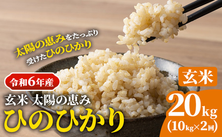 【令和6年産 予約受付】玄米 岡山県産 ひのひかり 笠岡産 20kg(10kg×2回)《10月下旬-9月下旬頃出荷》農事組合法人奥山営農組合 太陽の恵み｜玄米 玄米 玄米玄米 玄米 玄米 玄米 玄米 玄米 玄米 玄米 玄米 玄米 玄米 玄米 玄米 玄米 玄米 玄米 玄米 玄米 玄米 玄米 玄米 玄米 玄米 玄米 玄米 玄米 玄米 玄米 玄米 玄米 玄米 玄米 玄米 玄米 玄米 玄米 玄米 玄米 玄米 玄米 玄米 玄米 玄米 玄米 玄米 玄米 玄米 玄米 玄米 玄米 玄米 玄米 玄米 玄米 玄米 玄米 玄米 玄米 玄米 玄米 玄米 玄米 玄米 玄米 玄米 玄米 玄米 玄米 玄米 玄米 玄米 玄米 玄米 玄米 玄米 玄米 玄米 玄米 玄米 玄米 玄米 玄米 玄米 玄米 玄米 玄米 玄米 玄米 玄米 玄米 玄米 玄米 玄米 玄米 玄米 玄米 玄米 玄米 玄米 玄米 玄米 玄米 玄米 玄米 玄米 玄米 玄米 玄米 玄米 玄米 玄米 玄米 玄米 玄米 玄米 玄米 玄米 玄米 玄米 玄米 玄米 玄米 玄米 玄米 玄米 玄米 玄米 玄米 玄米 玄米 玄米 玄米 玄米 玄米 玄米 玄米 玄米 玄米 玄米 玄米 玄米 玄米 玄米 玄米 玄米 玄米 玄米 玄米 玄米 玄米 玄米 玄米 玄米 玄米 玄米 玄米 玄米 玄米 玄米 玄米 玄米 玄米 玄米 玄米 玄米 玄米 玄米 玄米 玄米 玄米 玄米 玄米 玄米 玄米 玄米 玄米 玄米 玄米 玄米 玄米 玄米 玄米 玄米 玄米 玄米 玄米 玄米 玄米 玄米 玄米 玄米 玄米 玄米 玄米 玄米 玄米 玄米 玄米 玄米 玄米 玄米 玄米 玄米 玄米 玄米 玄米 玄米 玄米 玄米 玄米 玄米 玄米 玄米 玄米 玄米 玄米 玄米 玄米 玄米 玄米 玄米 玄米 玄米 玄米 玄米 玄米 玄米 玄米 玄米 玄米 玄米 玄米 玄米 玄米 玄米 玄米 玄米 玄米 玄米 玄米 玄米 玄米 玄米 玄米 玄米 玄米 玄米 玄米 玄米 玄米 玄米 玄米 玄米 玄米 玄米 玄米 玄米 玄米 玄米 玄米  玄米 玄米 玄米 玄米 玄米 玄米 玄米 玄米 玄米 玄米 玄米 玄米 玄米 玄米 玄米 玄米 玄米 玄米 玄米 玄米 玄米 玄米 玄米 玄米 玄米 玄米 玄米 玄米 玄米 玄米 玄米 玄米 玄米 玄米 玄米 玄米 玄米 玄米 玄米 玄米 玄米 玄米 玄米 玄米