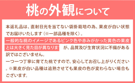 【2025年先行予約】桃 岡山の桃 約750g 《2025年6月下旬-9月上旬頃出荷》｜ ご家庭用桃訳あり桃白桃岡山の桃フルーツ モモ もも 先行予約 果物 岡山県 笠岡桃岡山県の桃岡山県産桃晴れの国桃清水白桃岡山の清水白桃わけあり白桃訳あり白桃桃冷蔵冷蔵桃