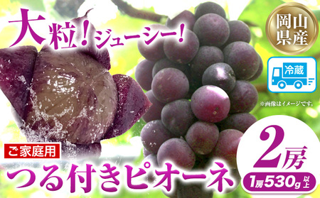 家庭用つる付きニューピオーネ 2房(1房530g以上)【配送不可地域あり】有限会社ホーティカルチャー神島 令和8年産先行受付《9月中旬-10月下旬頃出荷》岡山県 笠岡市 送料無料 葡萄 フルーツ 果物 ニューピオーネ つる付き お取り寄せフルーツ