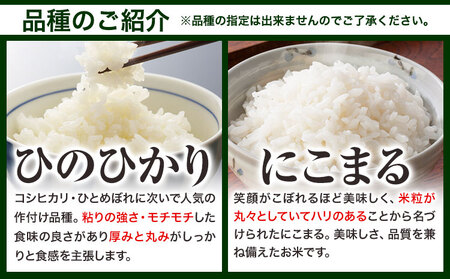 【令和7年2月発送】【先行受付】令和6年産 備中笠岡ふるさと米 10kg 国産 ヒノヒカリ にこまる きぬむすめ 米 お米 単一原料米 検査済み 国産 ブランド米 お取り寄せ 送料無料 岡山県産