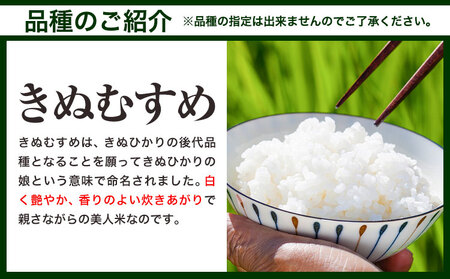 【令和7年2月発送】【先行受付】令和6年産 備中笠岡ふるさと米 10kg 国産 ヒノヒカリ にこまる きぬむすめ 米 お米 単一原料米 検査済み 国産 ブランド米 お取り寄せ 送料無料 岡山県産