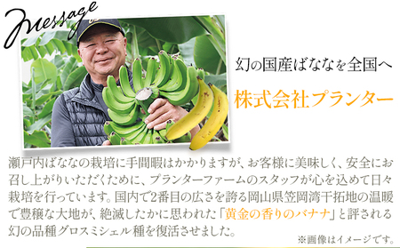 果物 フローズン 瀬戸内ばなな 皮ごと 食べれる 瀬戸内 ばなな 5袋 100g ×5 株式会社プランター バナナ 《30日以内に出荷予定(土日祝除く)》 青果物 冷凍バナナ フルーツ お菓子