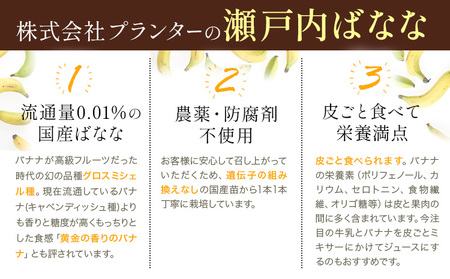 果物 フローズン 瀬戸内ばなな 皮ごと 食べれる 瀬戸内 ばなな 5袋 100g ×5 株式会社プランター バナナ 《30日以内に出荷予定(土日祝除く)》 青果物 冷凍バナナ フルーツ お菓子