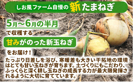 しお風新たまねぎ 約5kg《5月中旬-5月末頃出荷》｜玉ねぎ玉ねぎ玉ねぎ玉ねぎ