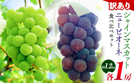 訳あり ニューピオーネ シャインマスカット 約1.2kg 《9月上旬～10月下旬頃に出荷予定》