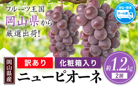訳あり ニューピオーネ 約1.2kg《8月下旬-10月下旬頃出荷(土日祝除く)》| ピオーネ