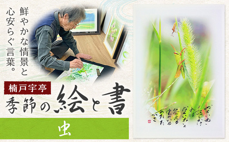 絵 書 書道 アート 季節の絵と書 虫 楠戸宇亭《90日以内に出荷予定(土日祝除く)》岡山県 笠岡市 送料無料 美術 作品 日本画 絵 インテリア