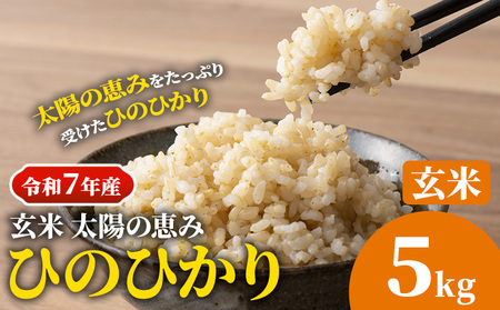 玄米 7年産 ひのひかり 5kg 太陽の恵み 米《10月下旬頃出荷》