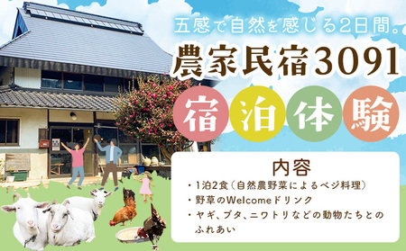 宿泊 農家民宿3091 宿泊体験 1泊2食 《30日以内に出荷予定(土日祝を除く)》Life3091 岡山県 笠岡市 体験 民宿 古民家 ごはん 自然 動物 ふれあい ヴィーガン