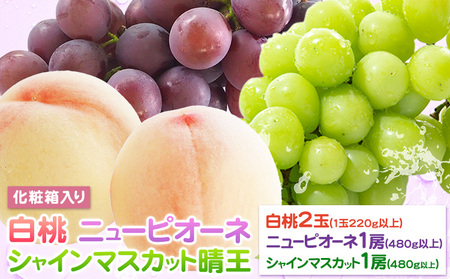 桃 ぶどう 詰合 岡山白桃 2玉(1玉220g以上) ニューピオーネ1房(1房480g以上) シャインマスカット 晴王 1房(1房480g以上) 化粧箱入 株式会社山博《7月下旬-8月中旬頃出荷》岡山県 笠岡市 フルーツ 果物 葡萄 マスカット もも お取り寄せ【配送不可地域あり】