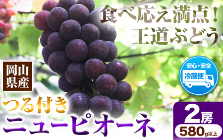 岡山県産ニューピオーネ 2房（580g以上） 先行受付 《9月中旬-10月下旬頃出荷》 【配送不可地域あり】