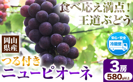 岡山県産ニューピオーネ 3房（580g以上） 先行受付 《9月中旬-10月下旬頃出荷》 【配送不可地域あり】