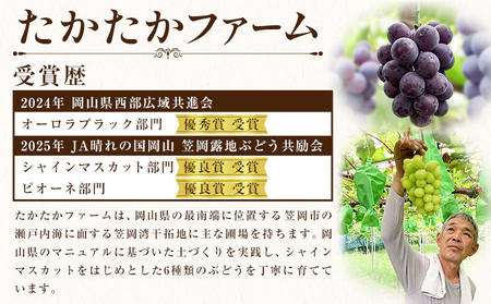 ぶどう ピオーネ オーロラブラック 計2房 1kg 以上 《8月下旬-9月中旬頃出荷》 たかたかファーム ブドウ 葡萄 黒系 果物 フルーツ ギフト 岡山県 笠岡市