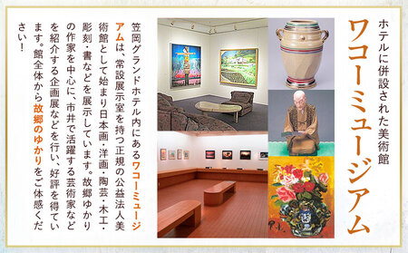 チケット 笠岡グランドホテル スイートルームペア1泊宿泊券 ミニバー(ソフトドリンク、ワイン)付き ハーベストベイ株式会社 《45日以内に出荷予定(土日祝除く)》岡山県 笠岡市 ホテル 宿泊券 ペア スイートルーム 1泊 観光 旅行 美術館