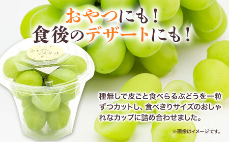 先行予約】たたらみねらるシャインマスカットトリプルセット《2026年8