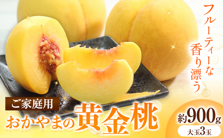 【2026年発送先行予約】  ご家庭用　おかやまの黄金桃　大玉3玉（約900g）《2026年8月下旬-9月中旬頃出荷》 桃 黄桃 黄金桃 晴れの国おかやま館 フルーツ 果物 果実 岡山県 笠岡市
