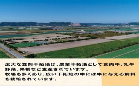 B-07 瀬戸の姫(焼肉用)たにもとふぁむ《45日以内に出荷予定(土日祝除く)》