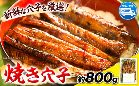 B 04 焼き穴子 岡山県笠岡市 ふるさと納税サイト ふるなび