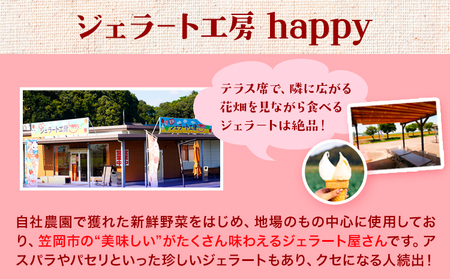 愛す家族 カップアイス 30個入り 選べるフレーバー 笠岡ジェラート 工房ハッピーのカップアイス ハッピー&甲和株式会社 ジェラート アイス ミルク たたらシャインマスカット 清水白桃 いちご アスパラガス プチトマト 瀬戸内バナナ マンゴー パセリ 岡山県 笠岡市