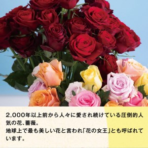 C-12 愛する人へ「１００本の薔薇」（黄）
