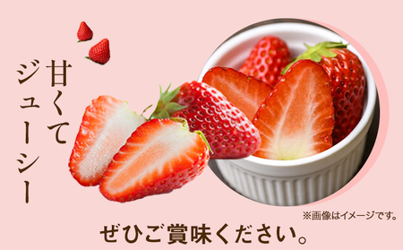 いちご 紅ほっぺ 1000g(250g×4パック) JA笠岡アグリセンター《1月中旬-3月末頃出荷》【配達不可地域あり】(北海道・沖縄県・離島)