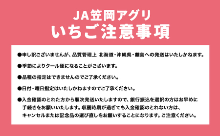 いちご 紅ほっぺ 1000g(250g×4パック) JA笠岡アグリセンター《1月中旬-3月末頃出荷》【配達不可地域あり】(北海道・沖縄県・離島)