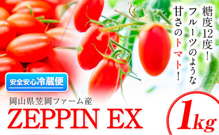 ZEPPIN　EX(エクセレント)　1kg箱《120日以内に出荷予定(土日祝除く)》　C-39a｜ トマトとまと