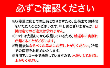 ZEPPIN　TOMATO　OKAYAMA　1kg箱（ZEPPIN　EX)　C-39a｜ トマトとまとトマトとまとトマトとまとトマトとまとトマトとまとトマトとまとトマトとまとトマトとまとトマトとまとトマトとまとトマトとまとトマトとまとトマトとまとトマトとまとトマトとまとトマトとまとトマトとまとトマトとまとトマトとまとトマトとまとトマトとまとトマトとまとトマトとまとトマトとまとトマトとまとトマトとまとトマトとまとトマトとまとトマトとまとトマトとまとトマトとまとトマトとまとトマトとまとトマトとまとトマトとまとトマトとまとトマトとまとトマトとまとトマトとまとトマトとまとトマトとまとトマトとまとトマトとまとトマトとまとトマトとまとトマトとまとトマトとまとトマトとまとトマトとまとトマトとまとトマトとまとトマトとまとトマトとまとトマトとまとトマトとまとトマトとまとトマトとまとトマトとまとトマトとまとトマトとまとトマトとまとトマトとまとトマトとまと