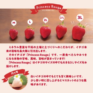 【先行受付】しあわせ届けるいちご農園HappyComeComeの紅白いちご2品種食べ比べセット 400g以上〈2024年12月中旬から発送開始予定〉A-125a