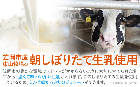 ひまわりの種ジェラート 9個セット 笠岡ジェラート工房ハッピーのカップアイス 《45日以内に出荷予定(土日祝除く)》ジェラート アイス アイスクリーム ミルク ヒマワリの種 デザート