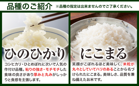 白米【令和8年4月発送】備中笠岡ふるさと米 15kg