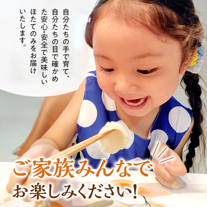 訳あり 北海道 オホーツク産 冷凍 ほたて 貝柱 1kg（1kg×1箱）ホタテ ランキング 海鮮 刺身 冷凍ふるさと納税 帆立 ふるさと 規格外 ホタテ貝柱