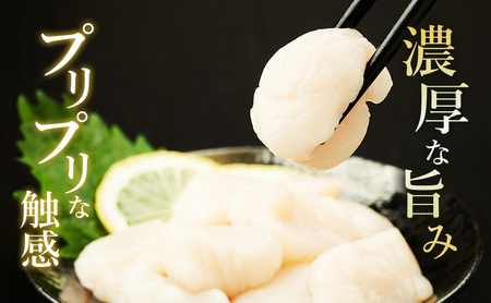 先行予約 欠けがあるため訳あり 北海道 オホーツク海産 ホタテ 貝柱 Cフレーク 1kg 帆立 ほたて 刺身 玉冷 海鮮 魚介 冷凍 国産 サロマ湖 魚介類