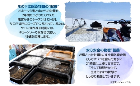 北海道 サロマ湖産 龍宮牡蠣 2kg（ 2年物 殻付き カキ ）カキナイフ付 牡蠣 海鮮 魚介 国産 貝付き 生牡蠣 生食 焼き牡蠣 蒸し牡蠣 冷蔵 産地直送 オホーツク 