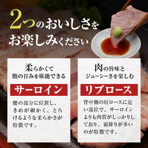 北海道産 ゆうべつ牛 ステーキ・焼き肉セット B 約800g 赤身 牛肉 冷凍 湧別牛 冷凍 国産 遺伝子 オホーツク お肉 焼肉 バーベキュー 