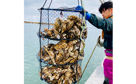 ≪先行予約10月中旬以降発送≫北海道湧別町サロマ湖産  殻付き2年牡蠣2kgと1年牡蠣剥き身500g