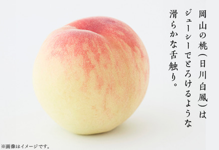 【ご家庭用】岡山の桃 日川白鳳 5～7玉【2026年6月下旬頃から順次発送】