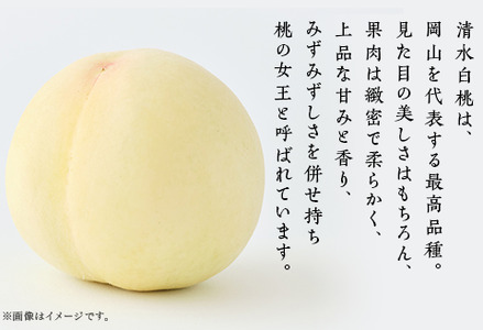 【ご家庭用】岡山白桃 清水白桃 5～7玉