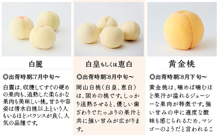 【ご家庭用】岡山白桃「白皇もしくは恵白」5~7玉【2026年8月中旬頃から順次発送】