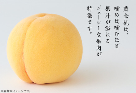 【ご家庭用】岡山県産 黄金桃 5～7玉